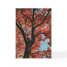 AUTUMN (leere Karte)