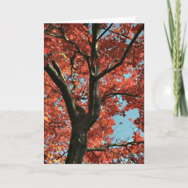 AUTUMN (leere Karte) Karte