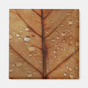 Autumn Magnet