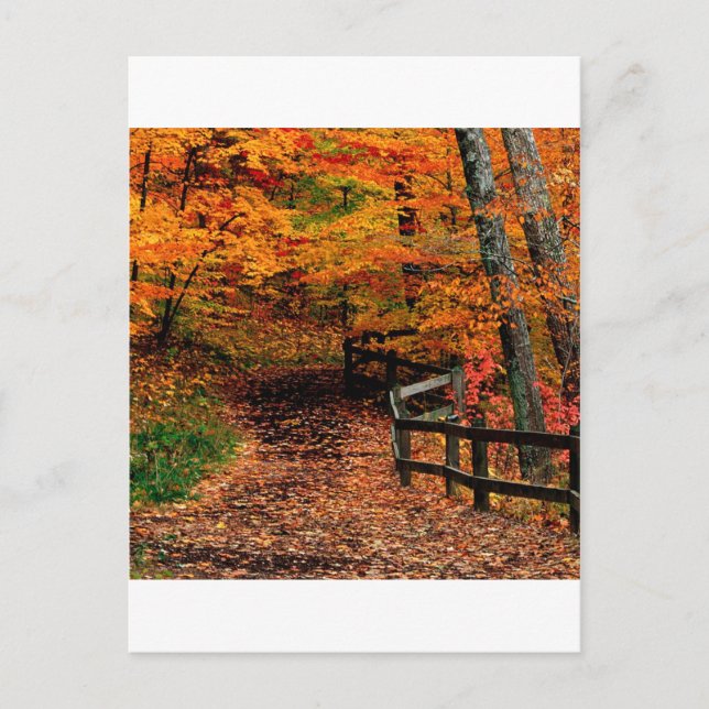Autumn Mccormick Creek Staat Park Indiana Postkarte (Vorderseite)