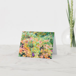 "AUTUMN PALETTE" (PHOTOG.) CARTE DE CORRESPONDANCE