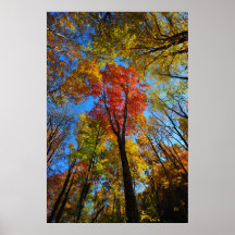 Autumn Poster