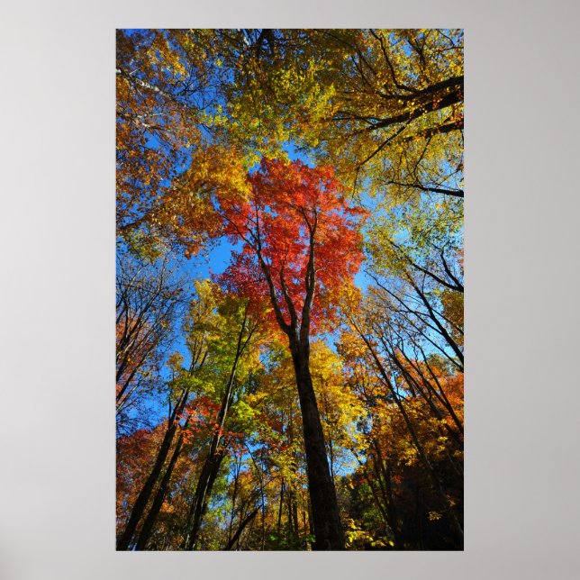 Autumn Poster (Vorne)