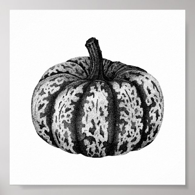 Autumn Pumpkin Ink Stipple Zeichnend Poster (Vorne)