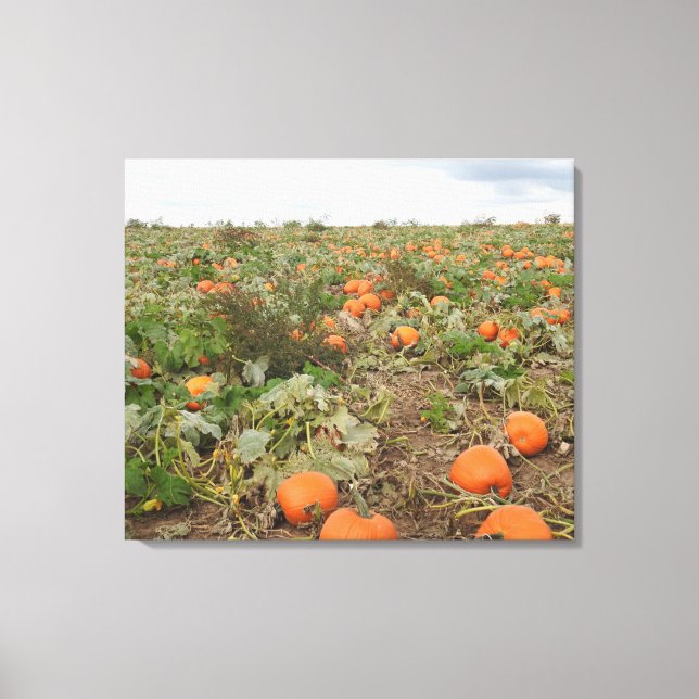 Autumn Pumpkin Patch Fotografie Leinwanddruck (Vorderseite)