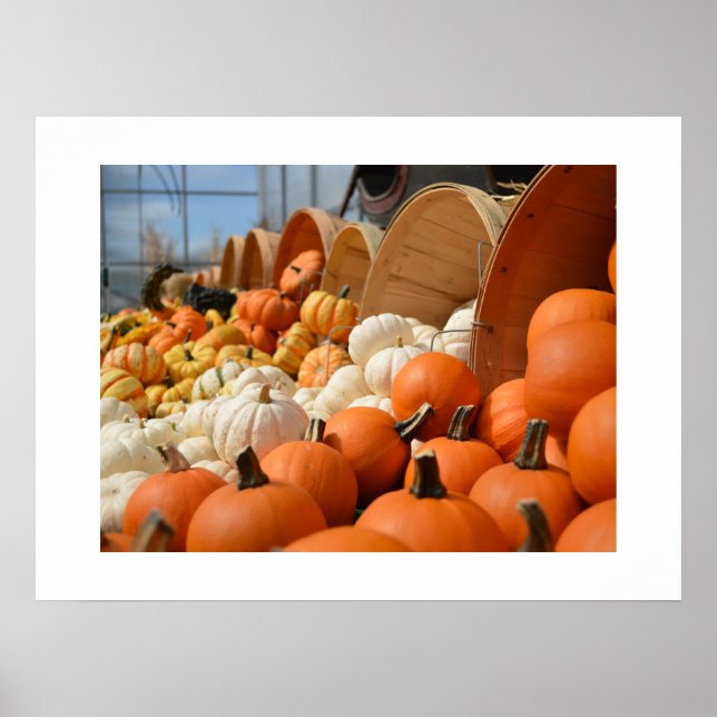 Autumn Pumpkins Poster (Vorne)