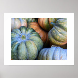 Autumn Pumpkins Poster