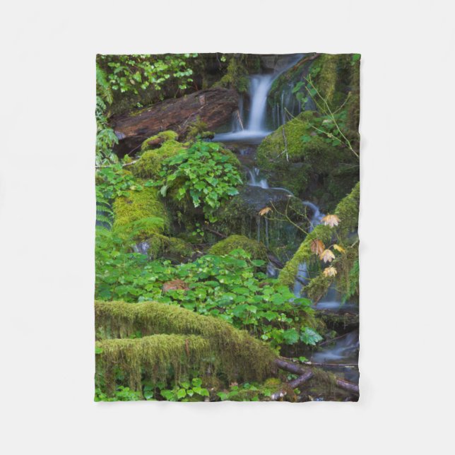 Autumn Rainforest | Olympic National Park Fleecedecke (Vorderseite)