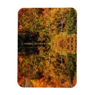 Autumn reflection on Coffin Pond Magnet