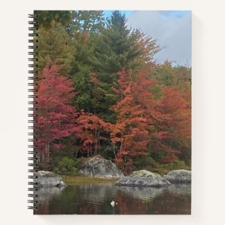 Autumn Reflections Journal Notizbuch