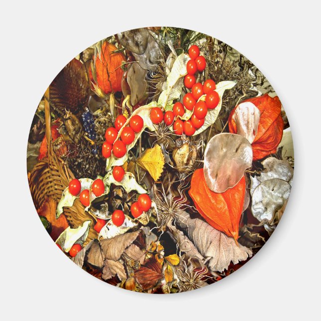 AUTUMN-REGELUNG ~ Umfang Magnet (Vorne)