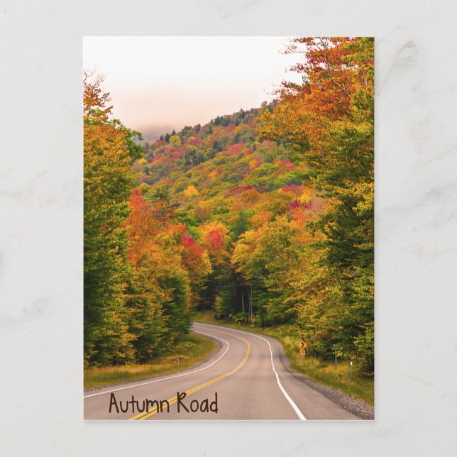 Autumn Road Postcard Postkarte (Vorderseite)