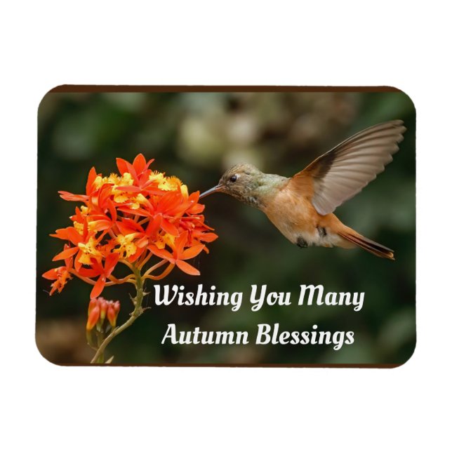 Autumn Sessings Hummingbird Flexible Magnet (Horizontal)