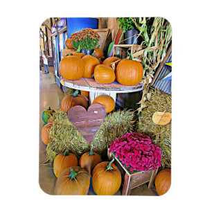 Autumn Sessween Pumpkins Magnet