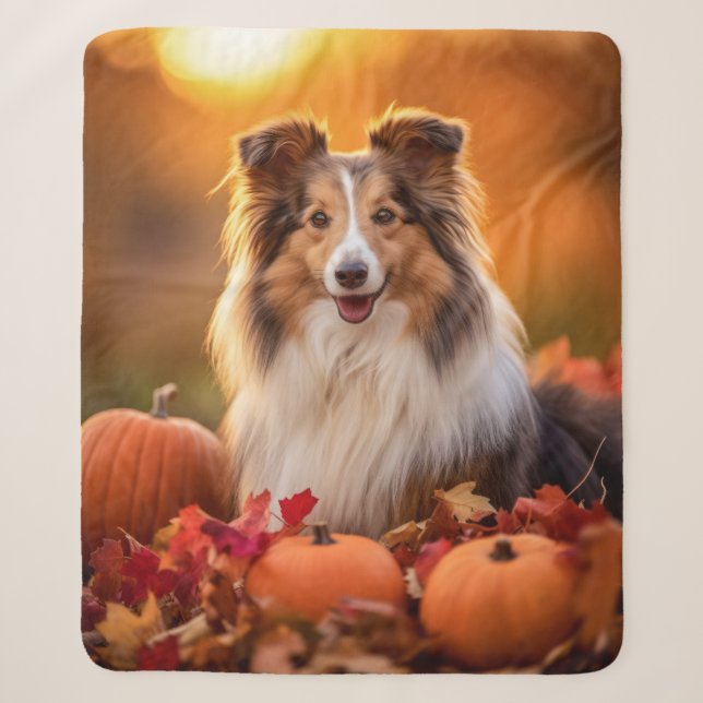 Autumn Sheltie Sherpadecke (Vorderseite)