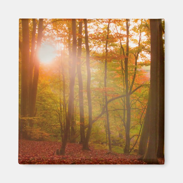 Autumn Splendor Magnet (Vorne)