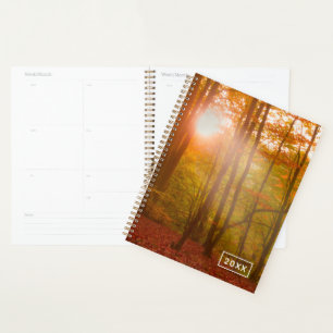 Autumn Splendor Planer
