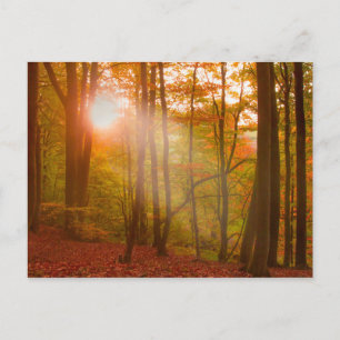 Autumn Splendor Postkarte