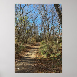 Autumn Train Poster