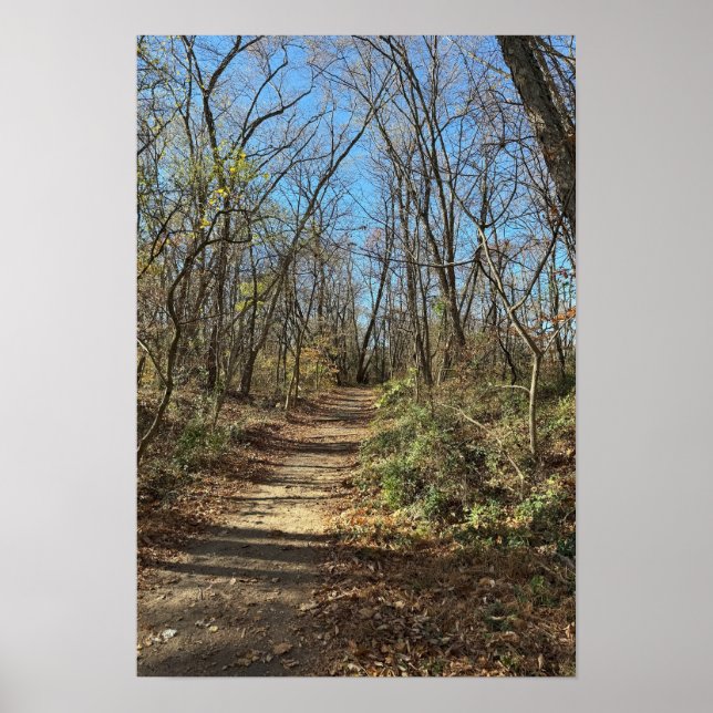 Autumn Train Poster (Vorne)