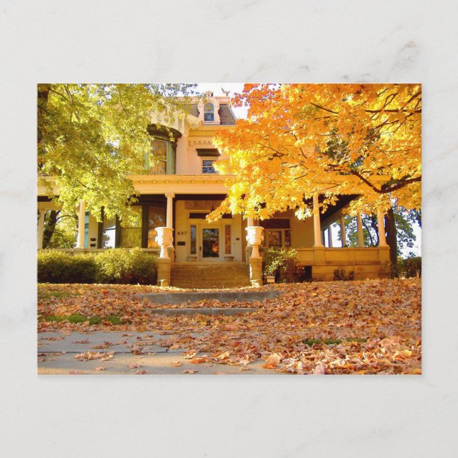 Autumn Tree Foto von Mark Edward Westerfield Postkarte (Vorderseite)