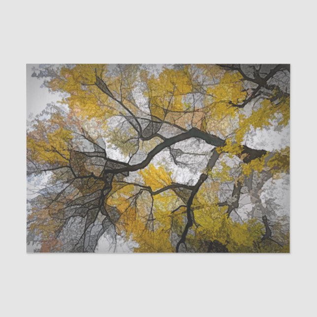 Autumn Tree Yellow Gray Blätter Sky Seidenpapier (Vorderseite)