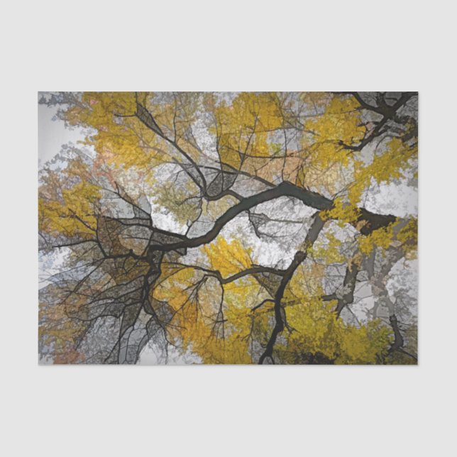 Autumn Tree Yellow Gray Blätter Sky Seidenpapier (Vorderseite)