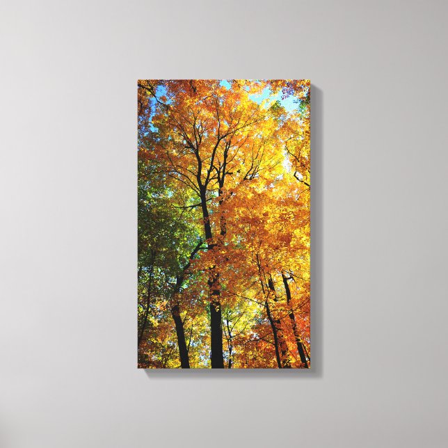 Autumn Trees Stretched Canvas Print Leinwanddruck (Vorderseite)