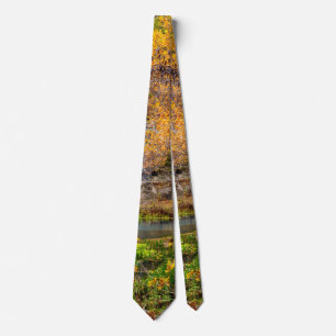 Autumn View Alley Spring Neck Tie Krawatte