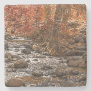 AUTUMN WALD FLUSS SEDONA ARIZONA STEINUNTERSETZER