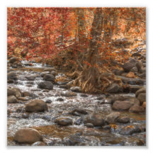 AUTUMN WALDFLUSS SEDONA ARIZONA