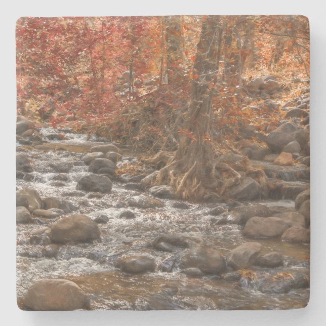 AUTUMN WALDFLUSS SEDONA ARIZONA STEINUNTERSETZER (Vorderseite)
