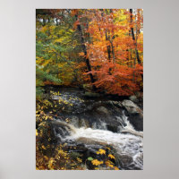 Autumn Waterfall