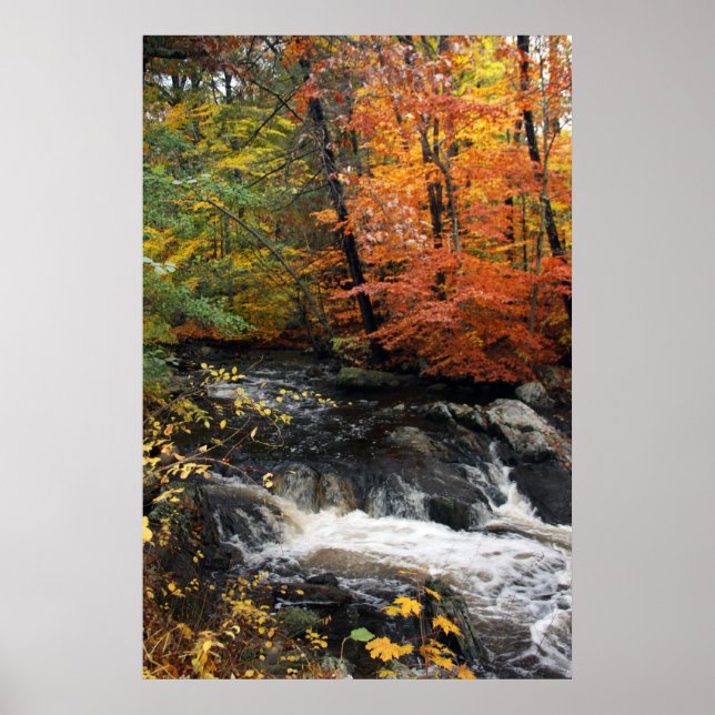 Autumn Waterfall Poster (Vorne)