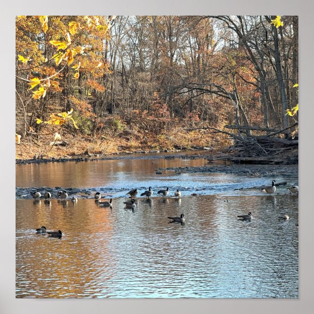 Autumn Waterscape mit Birds Poster (Vorne)