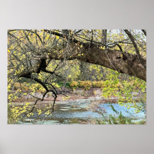 Autumn Waterscape Poster