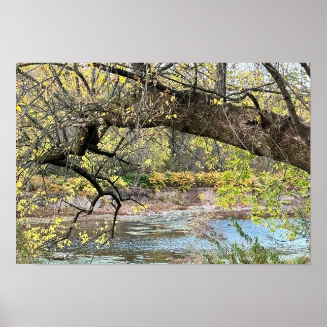 Autumn Waterscape Poster (Vorne)