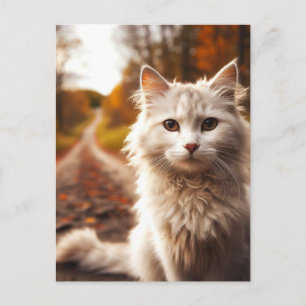 AUTUMN white cat POSTCARDS Postkarte