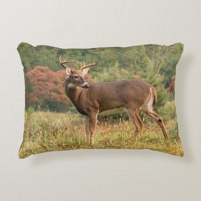 Autumn Whitetail Buck Dekokissen (Vorderseite)