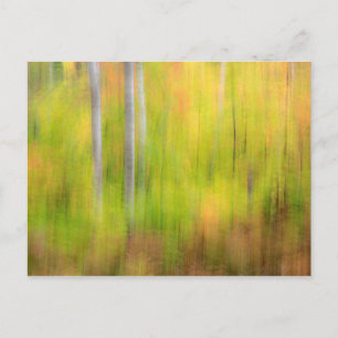 Autumn Woodland   Michigan, Oberhalbinsel Postkarte