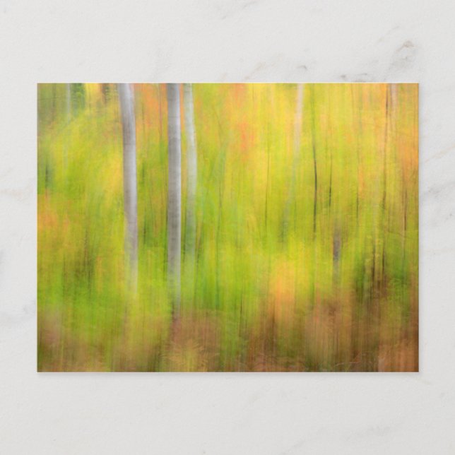 Autumn Woodland | Michigan, Oberhalbinsel Postkarte (Vorderseite)