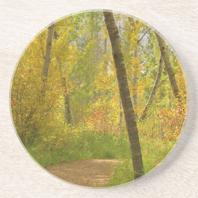 Autumn Woodlands Sandstein Untersetzer (Vorne)