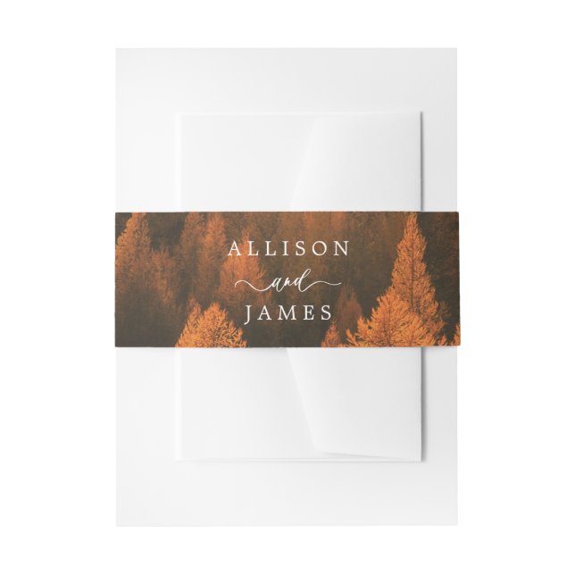 Autumn Woods Minimalist Belly Band (Vorderseite Beispiel)