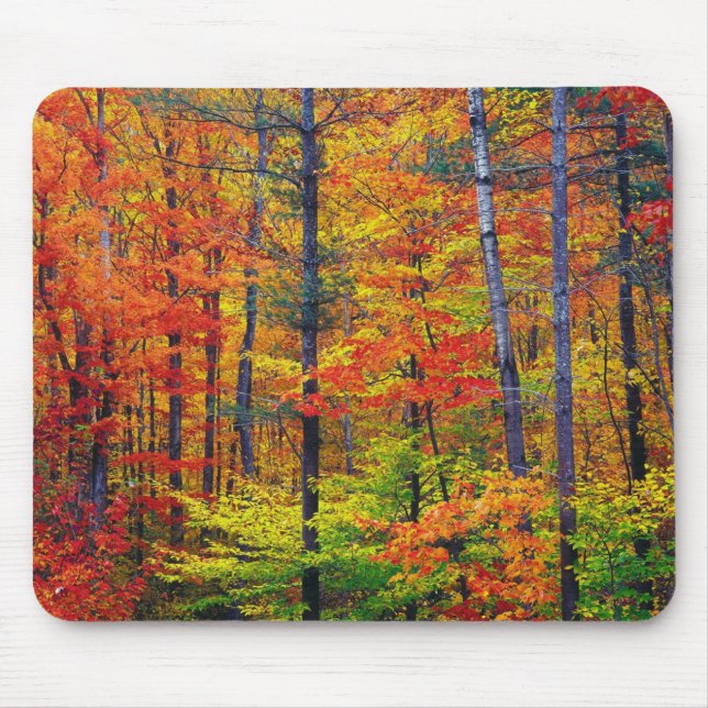 Autumn Woods Mouse Pad Mousepad (Vorne)