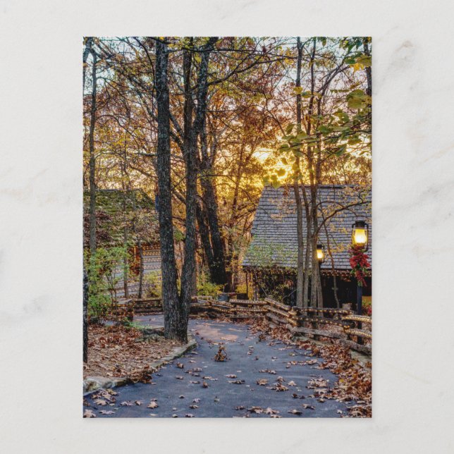 Autumn Woods Sunset Walkway Postcard Postkarte (Vorderseite)