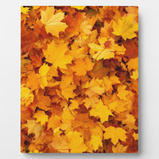 Autumn Yellow Maple Leaves Fotoplatte