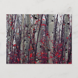 Autumnal Aspens Postkarte