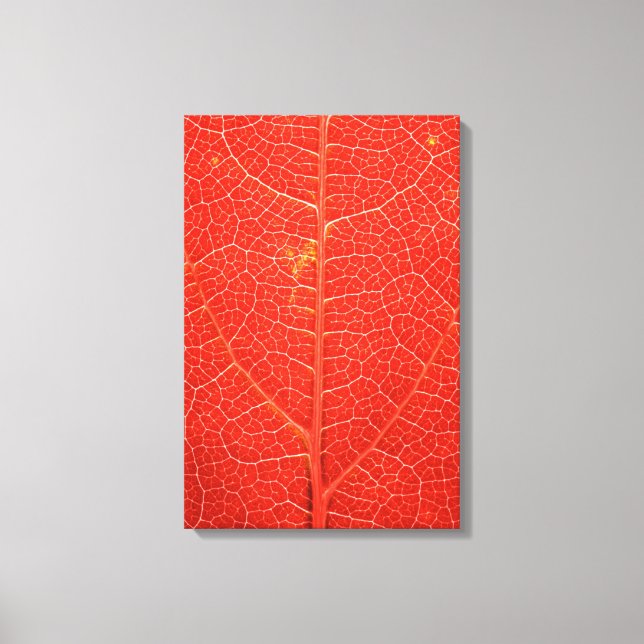Autumnal Leaf Leinwanddruck (Vorderseite)