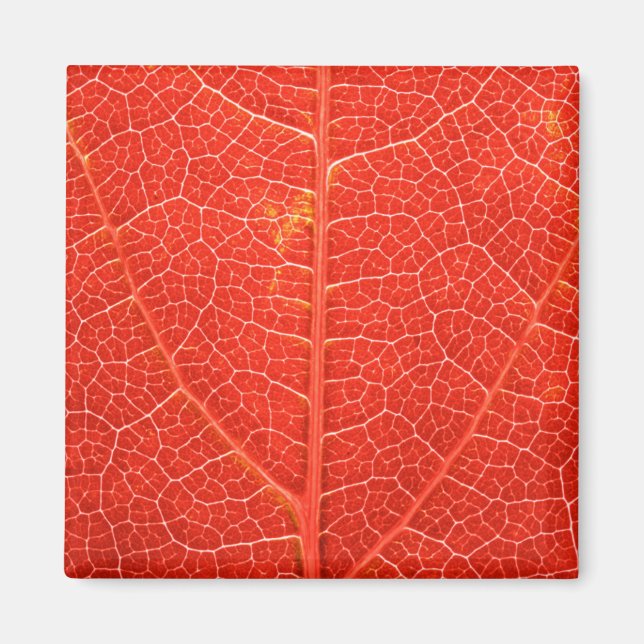 Autumnal Leaf Magnet (Vorne)