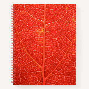 Autumnal Leaf Notizbuch
